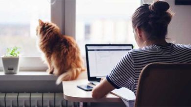 work at home