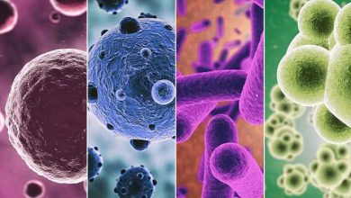 Viral infection