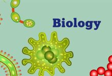 رشته زیست‌شناسی