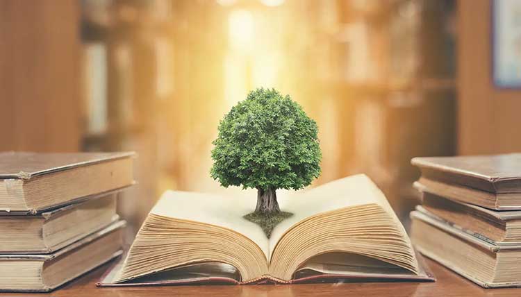 حقوق | طنز | فلسفه