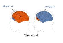 ناهشیاری کدام قسمت مغز است؟ و ضمیر ناخودآگاه و خدا